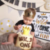 wild one cake smash